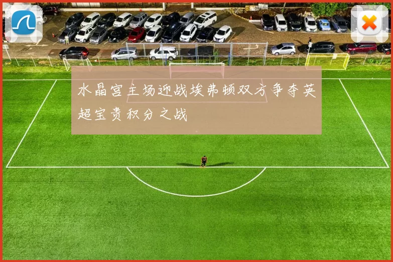 水晶宫主场迎战埃弗顿双方争夺英超宝贵积分之战